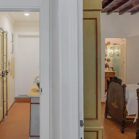 Luxury Apartment